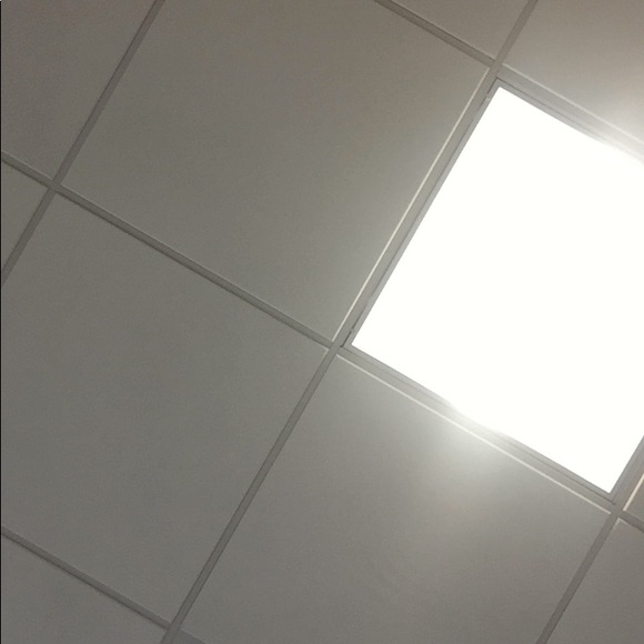 Meet your Posher, Danielle - Picture 1 of 1